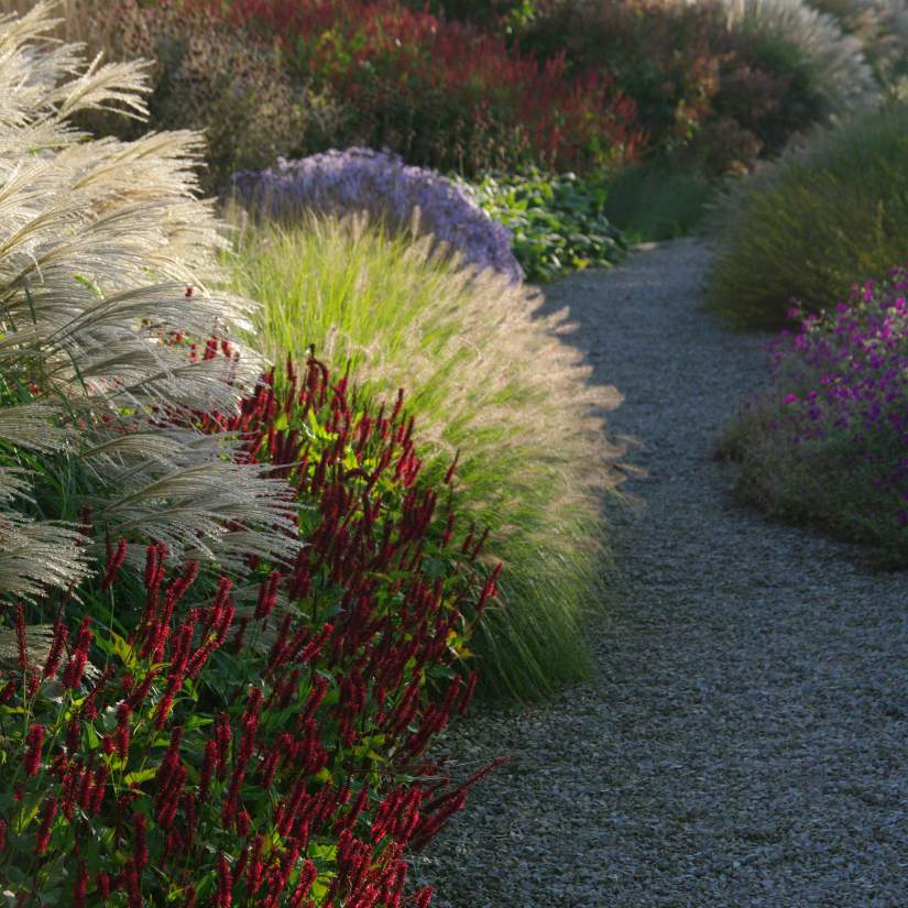 ghiaia-per-giardino-piante-grasse  Achtertuinlandschappen, Landschap  rotsen, Rustieke achtertuin